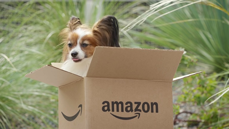 Amazon lança novas categorias e subcategorias: anuncie!